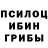 Псилоцибиновые грибы Magic Shrooms Kriz24 Gaming
