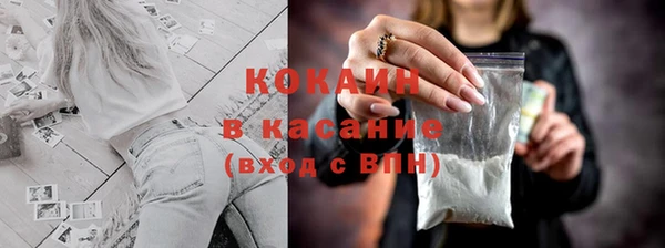стафф Зерноград