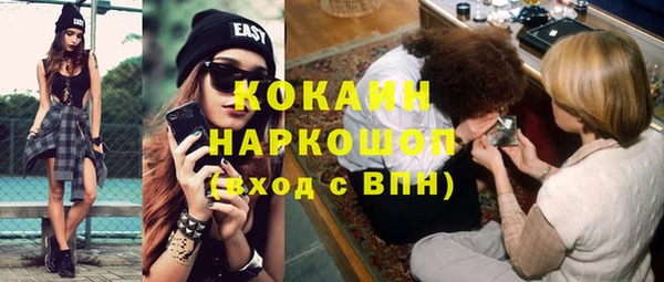 стафф Зерноград