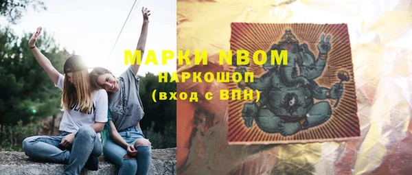 стафф Зерноград